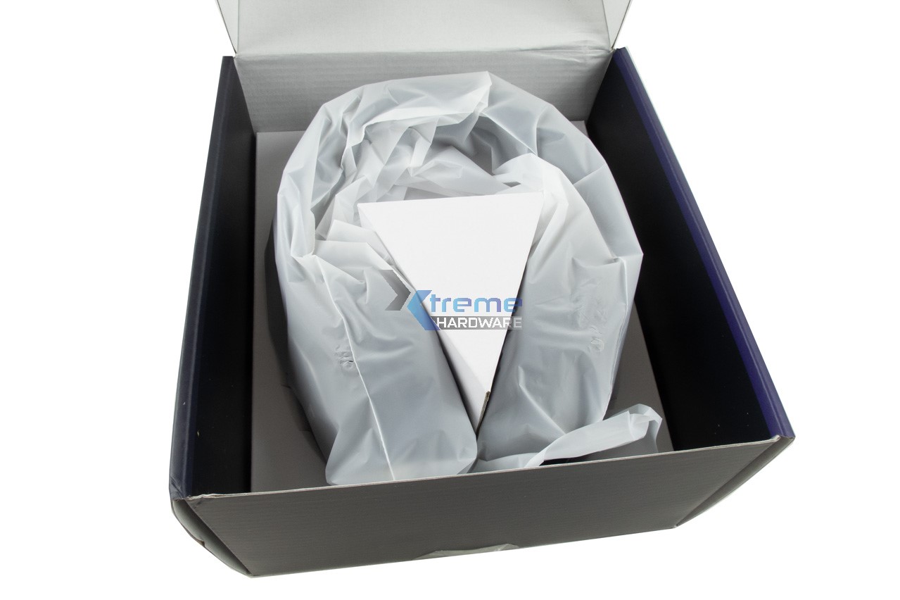 Kiwi Ears Ellipse 5 637d3